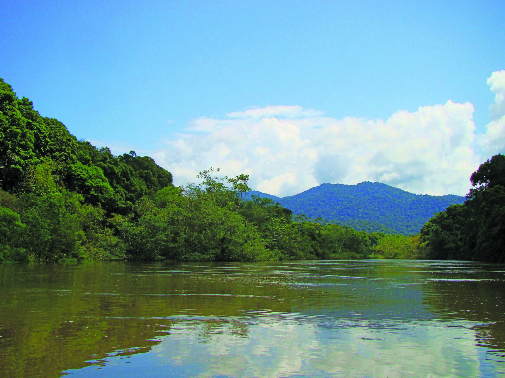 Scenic view of the Kanuku Mountains from Maparri River