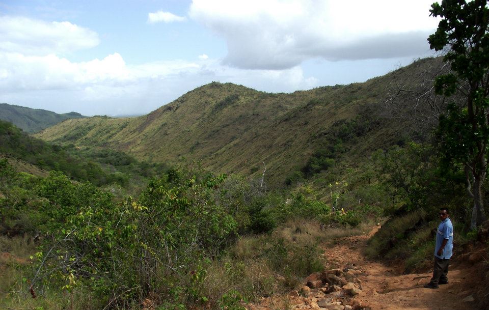 The scenic views around- Taushida village in Guyana