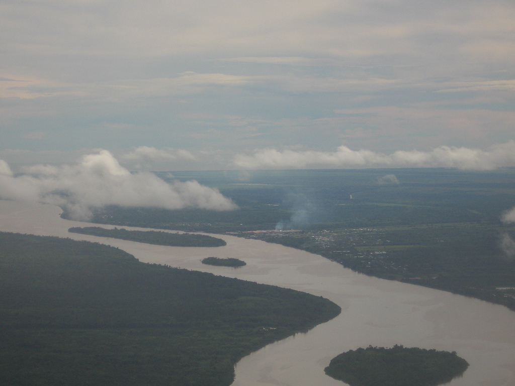 Demerara River from above