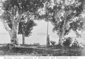Bartica Grove, Junction of Massaruni and Essequibo Rivers circa 1900 (Postcard)