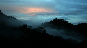 Beautiful sunrise at Jordan Falls (Photo by  Amanda Castleman)