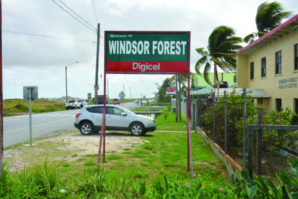 Windsor Forest The first Chinese settlement Guyana Times